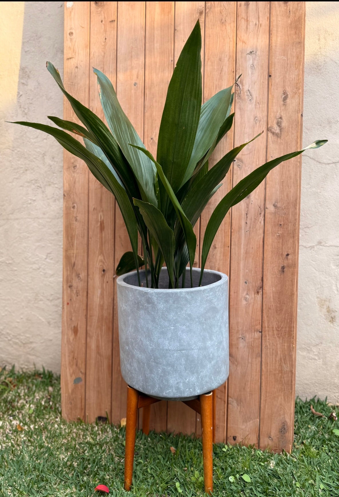 EX HIRE pot - Concrete grey planter on legs