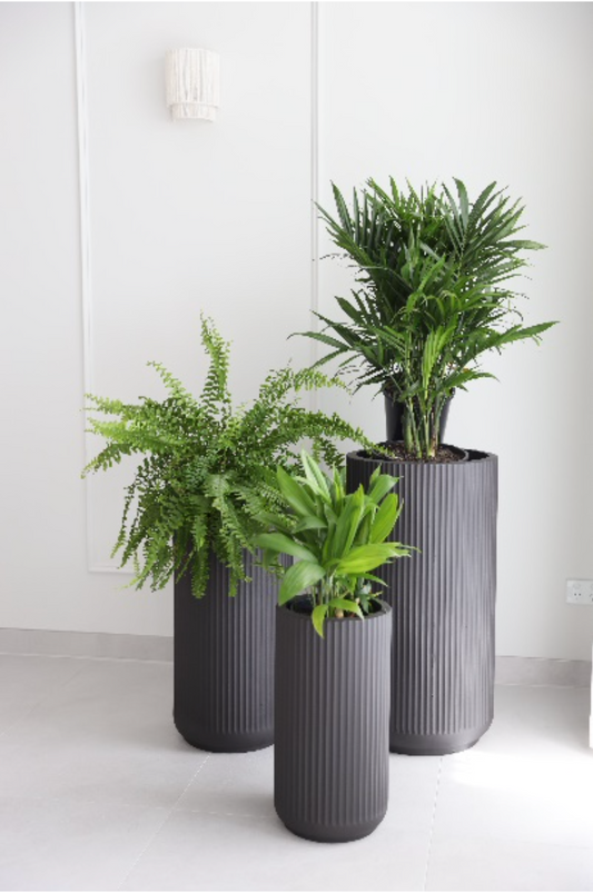Tall Corrugated U pots