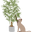 Leafy Paw logo